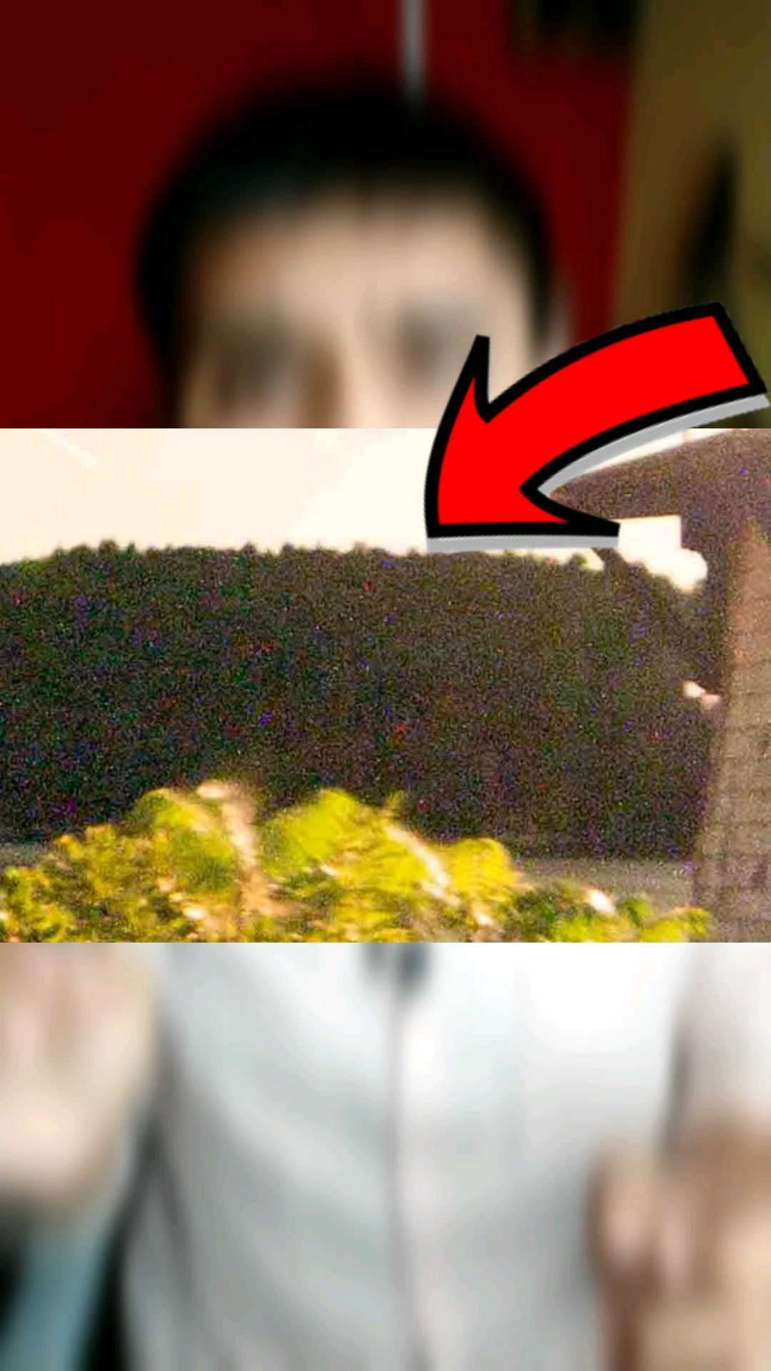 Video 4 Thumbnail