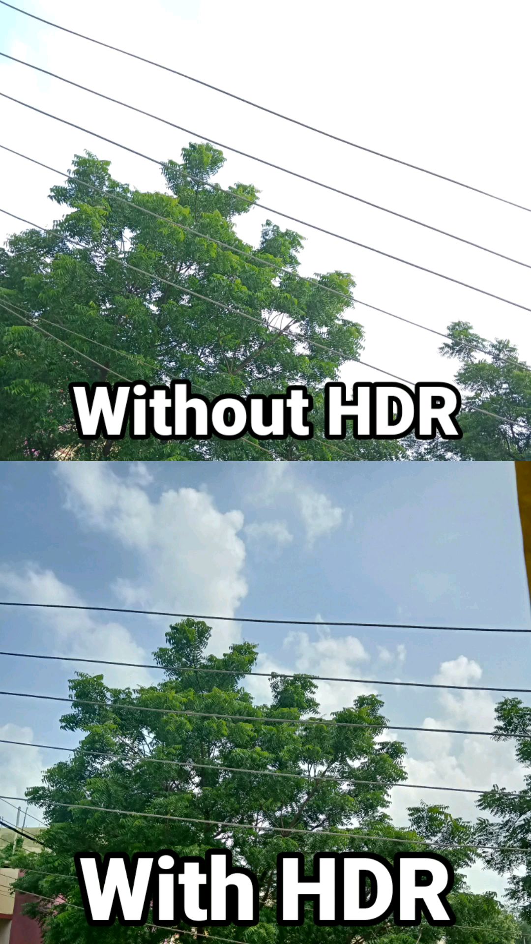 Video 8 Thumbnail