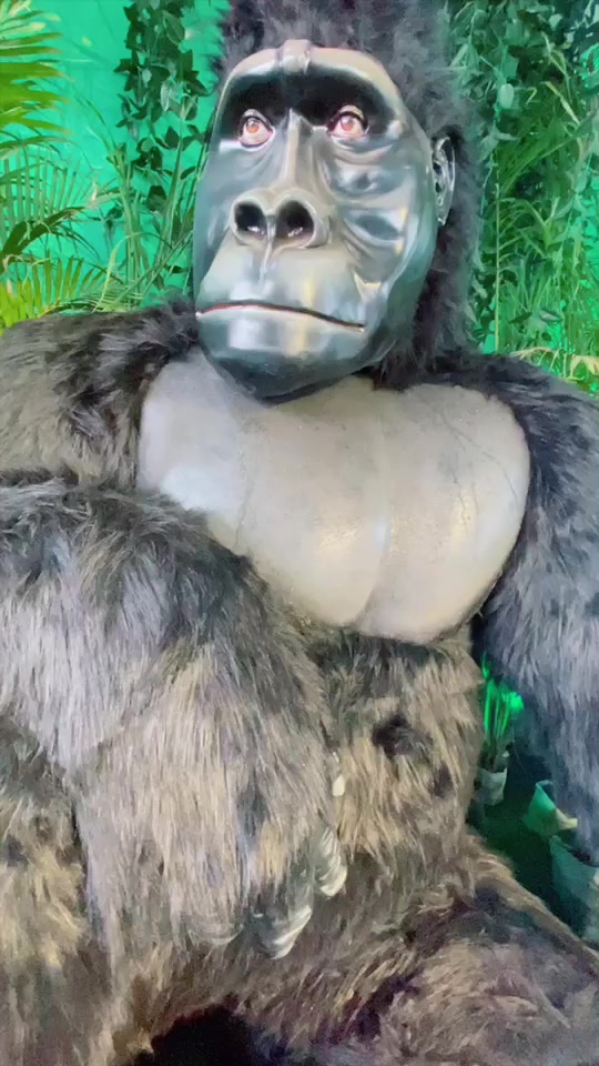 Video 7 Thumbnail