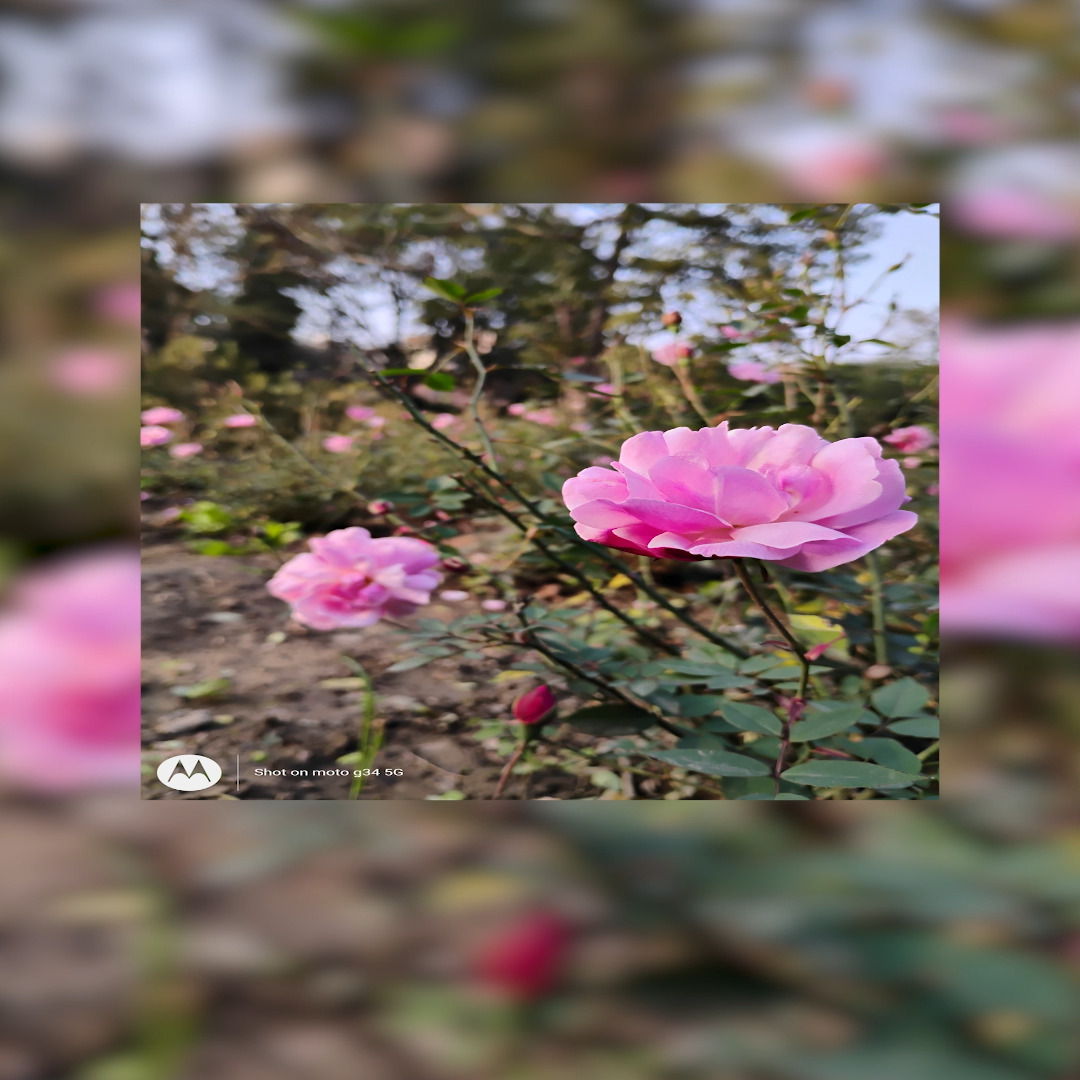 Video 1 Thumbnail